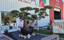 Ent. Witek à Torcy-le-Grand